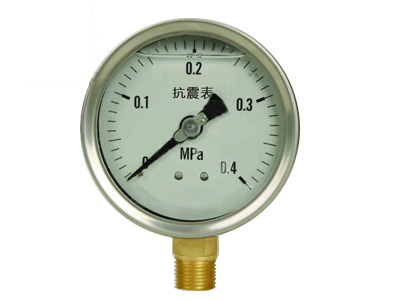 YN系列 耐震(抗震)壓力表