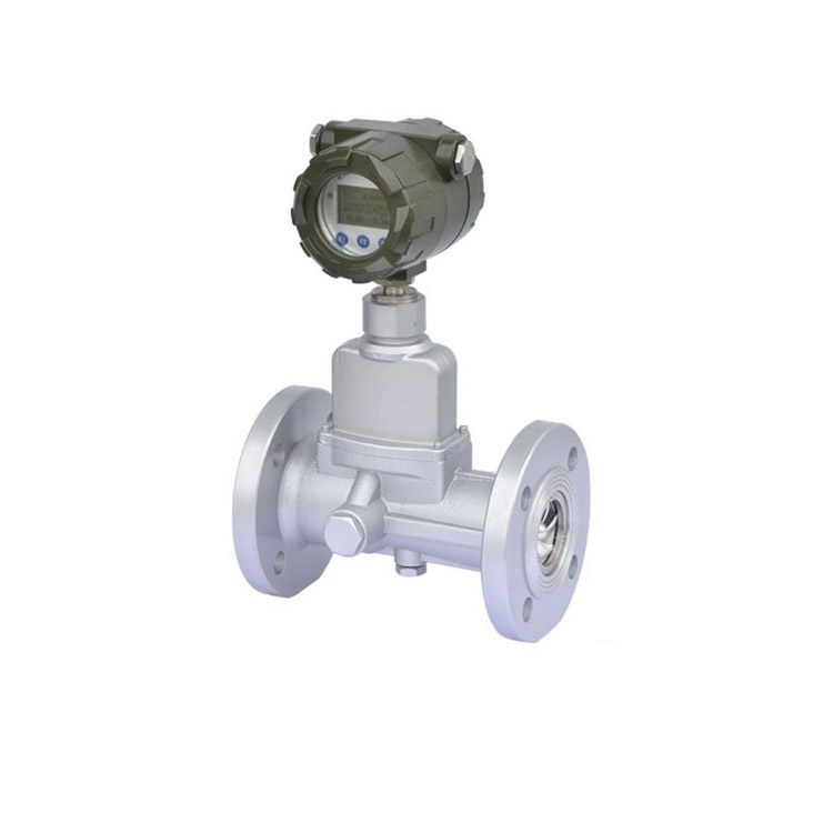 旋進(jìn)漩渦流量計(jì)